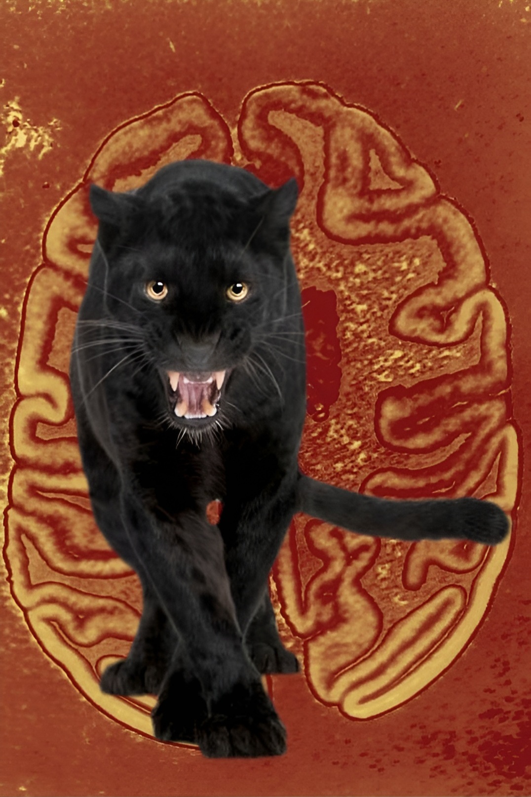Black Panther
