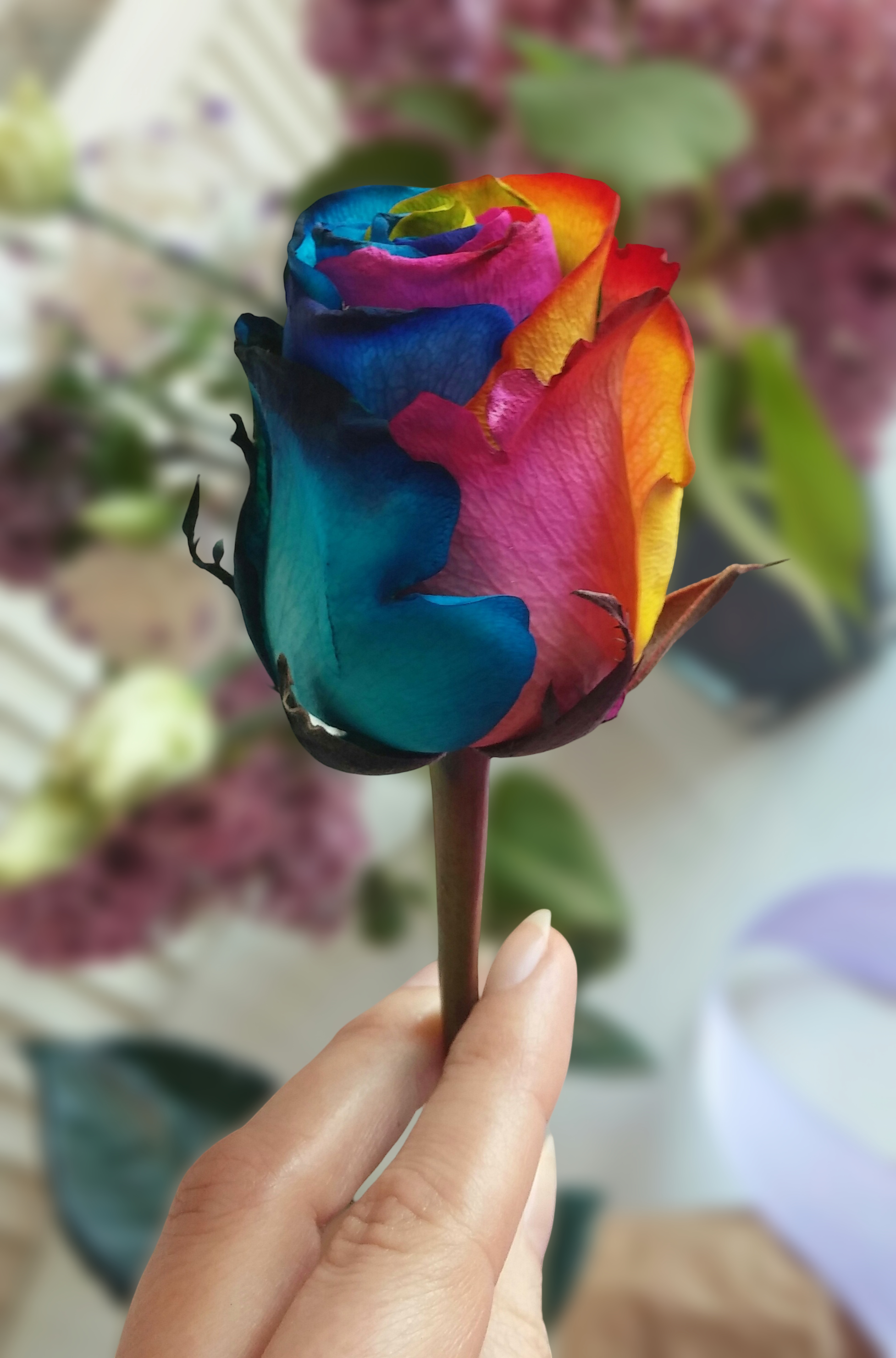 Romi-Rose