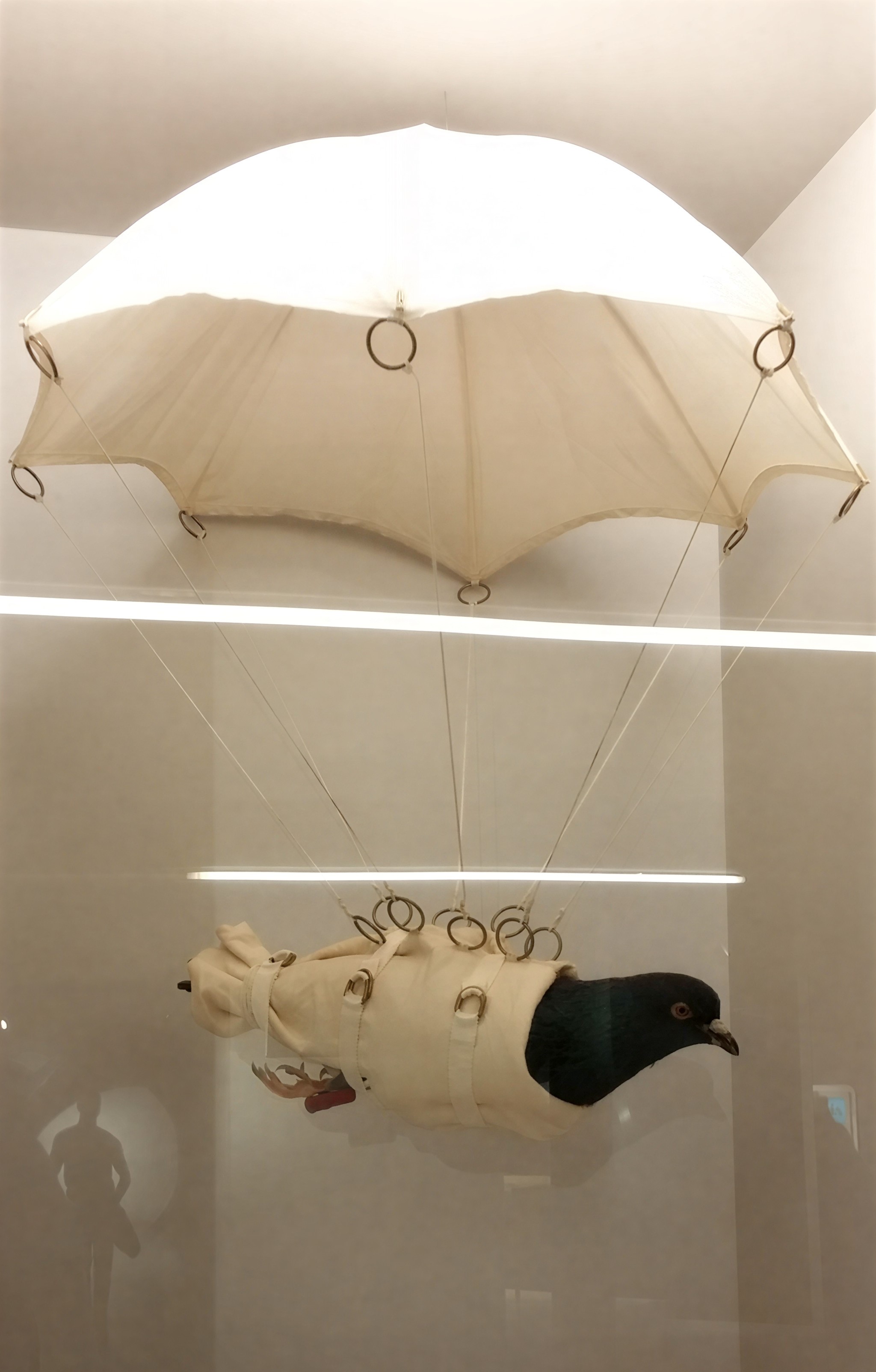Parapigeon-German Spy Museum-Berlin